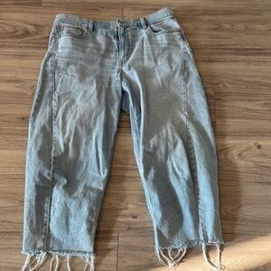 American Eagle Outfitters Barrel Light Wash Jeans